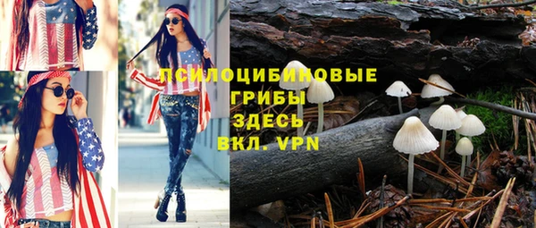 ГАЛЛЮЦИНОГЕННЫЕ ГРИБЫ Бугульма