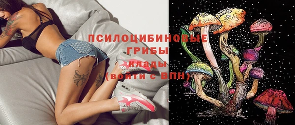 МДПВ Сосновоборск