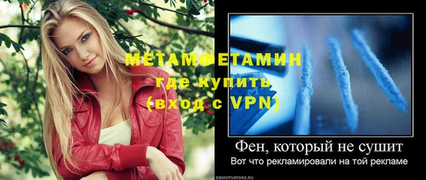 шишки Сосновка