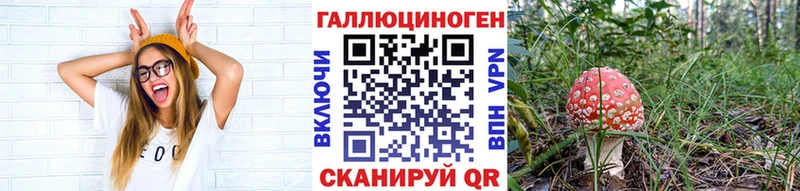 Псилоцибиновые грибы прущие грибы  гидра ТОР  Верхний Тагил 